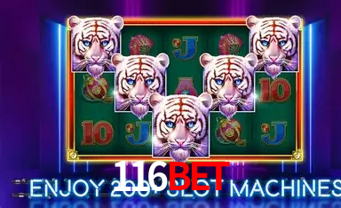 116bet login